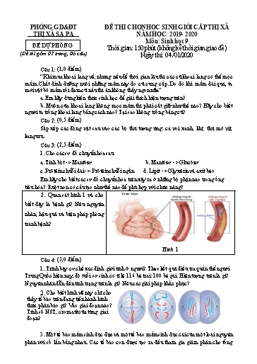 Đề thi chọn HSG cấp Thị xã môn Sinh Học 9 - Phòng GD&ĐT Thị xã Sa Pa - Năm học 2019-2020 (Đề dự phòng - Kèm hướng dẫn chấm)