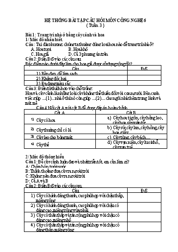 Hệ thống câu hỏi bài tập môn Công Nghệ 6 - Tuần 3, Bài 1: Trang trí nhà ở bằng cây cảnh và hoa